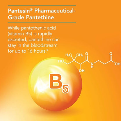 Nutricology Pantethine Supplement - Vitamin B5, Pantothenic Acid, Metabolism Support, Liver Support, Cardiovascular Supplement, Coenzyme A, 660mg Vegetarian Capsules - 60 Count