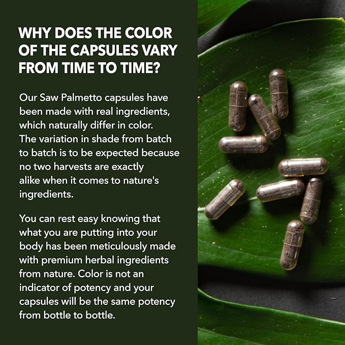 Saw Palmetto for Men Prostate Health Supplement to Promote Urinary Tract Function - 500mg Per Serving - 100 Count - DHT Blocker Hair Vitamin - Vegan, Non-GMO Capsules, Over 3 Month Supply