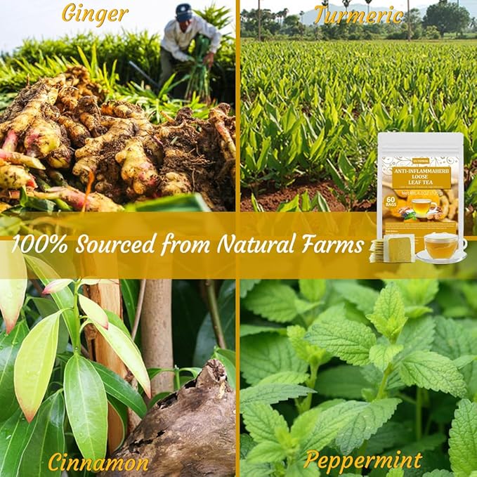 60 Premium Anti-Inflammaherb Tea Bags, Made with 100% Natural Herb Ingredients, Turmeric, Ginger, Ceylon Cinnamon, Peppermint, Black Pepper, No Additives & Caffeine Free.
