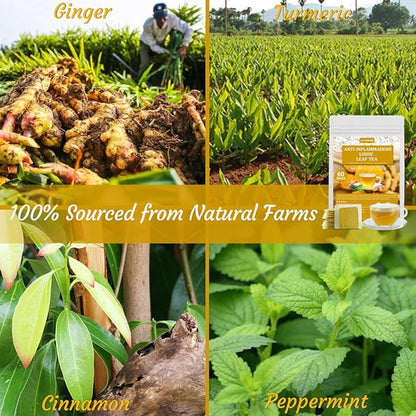 60 Premium Anti-Inflammaherb Tea Bags, Made with 100% Natural Herb Ingredients, Turmeric, Ginger, Ceylon Cinnamon, Peppermint, Black Pepper, No Additives & Caffeine Free.