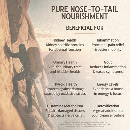 Grass Fed Bovine Kidney: 3000 Mg per Serving (30 Servings)