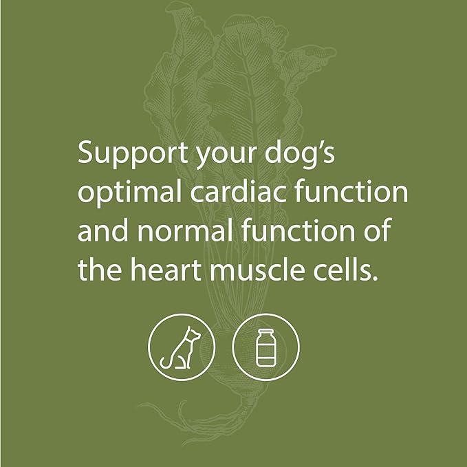 Standard Process Inc. Canine Cardiac Support - Dog Heart Health Supplement - Nutritional Formula to Support Cardiac Function - Pet Health Supplement with Selenium - 25 g