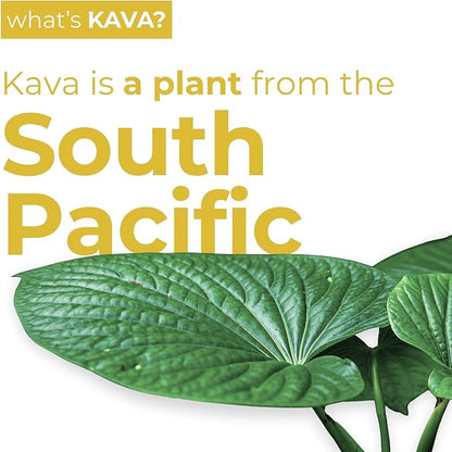 LEILO | Kava Powered Pina Colada Mocktail Drink | 12-Pack - Sugar-Free & Non-ALC Functional Relaxation Support | 12 fl oz Cans (Pack of 12)