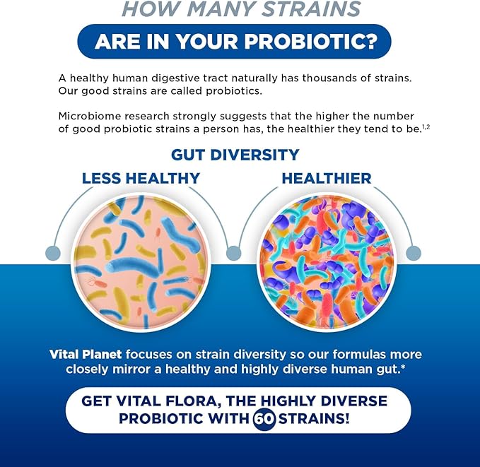 Vital Planet - Vital Flora Adults Over 55 Daily Probiotic 60 Billion CFU, Diverse Strains, Organic Prebiotics, Immune and Digestive Health Shelf Stable Probiotics for Women and Men, 60 Capsules