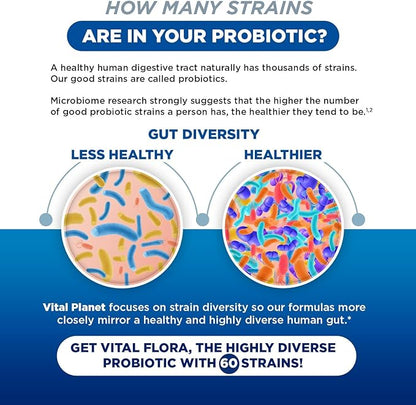 Vital Planet - Vital Flora Adults Over 55 Daily Probiotic 60 Billion CFU, Diverse Strains, Organic Prebiotics, Immune and Digestive Health Shelf Stable Probiotics for Women and Men, 60 Capsules