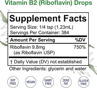 HoneyCombs Vitamin B2 Riboflavin Supplement Liquid Drops - High Potency Vitamin B2 for Men & Women - Maintain Healthy Digestion, Nervous System, Hair, Skin, Nails - Vegan Liquid Vitamins (16 Fl oz)