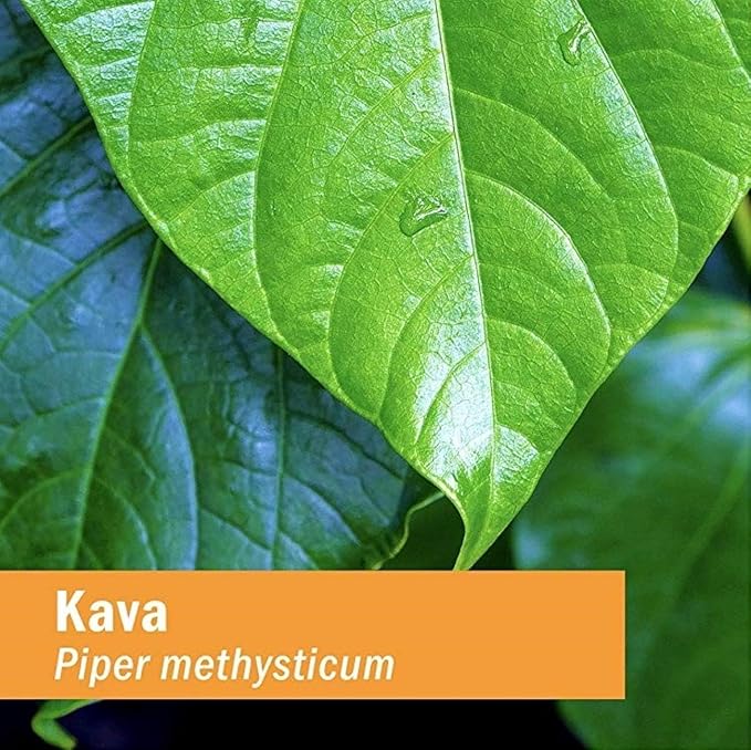 Herb Pharm Pharma Kava Extract - 4 Oz, 2 pack