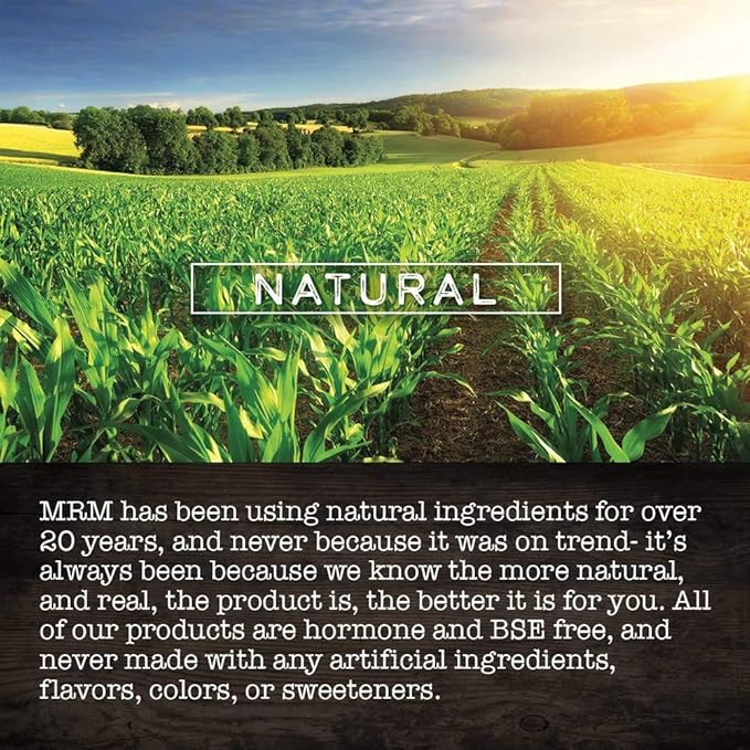 MRM Nutrition St. John’s Wort | 0.3% Hypericin 450mg | Mood + Well-Being Support | Gluten-Free + Vegan | 60 Capsules