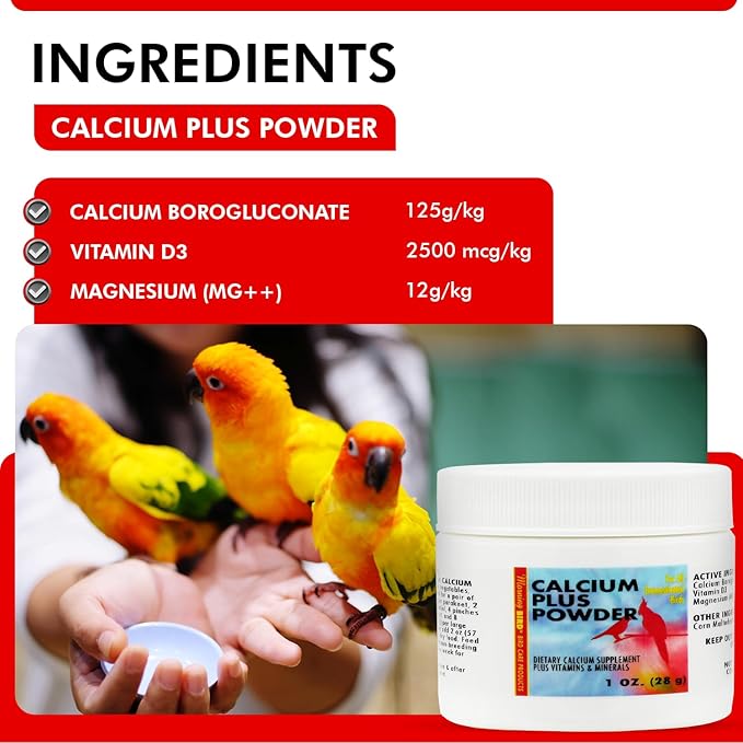 Morning Bird Calcium Plus Powder for Birds 1 oz – Calcium Supplement with Vitamin & Protein Powder – Supports Bone Health, Muscle Function & Digestive Balance – Easy-to-Mix Calcium Formula