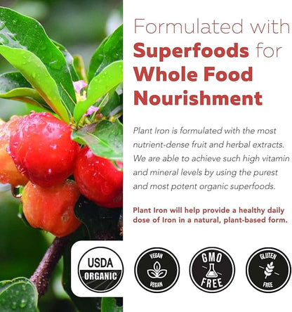 Organic Iron Supplement | Whole Food Iron & Cofactors, 25 mg Elemental Iron | Enhanced Absorption Plus Blood Builder Vitamins - Gentle Form - Support Healthy Iron Level & Blood Health - 90 Capsules
