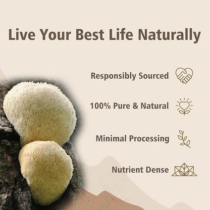 Lion's Mane Powder, Lions Mane Mushroom, Brain Health Support Supplement, Mushroom Supplement for Mental Clarity, Cognition and Immunity, 9.17oz