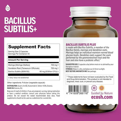 Bacillus Subtilis Spore Based Probiotic — High Potency Strain with Prebiotic for Balanced Belly | Daily Gut Health & Microbiome Support for Family | 6 Billion CFU Per Day | 90 Vegetarian Capsules