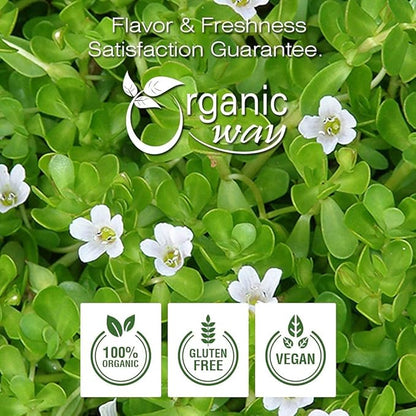Organic Way Brahmi Leaf Powder (Bacopa Monnieri) - Organic & Kosher Certified | Raw, Vegan, Non GMO & Gluten Free | USDA Certified | Origin - India (1/4 LBS)