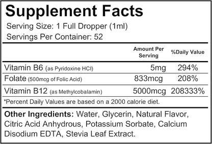 Wellgenix B12 Max Liquid - Vitamin B6, B12 & Folate-High Absorption - Cardiovascular Health, Mental Clarity, Energy Boost & Weight Loss - 1.75oz, 2 Pack