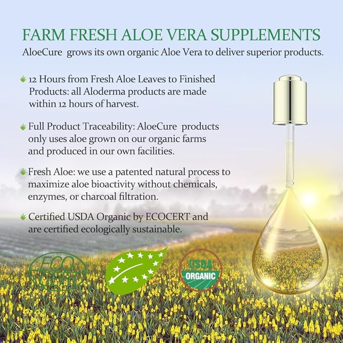 AloeCure USDA Organic Aloe Vera Juice Grape Flavor, Made Within 12 Hours of Harvest - Pure Aloe Vera Digestive & Immune Health Supplement, Helps Maintain Balanced Stomach Acidity, 16.7oz x 2 Btls