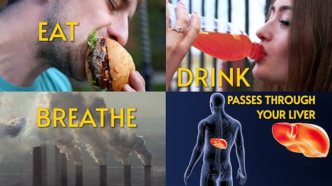 LIVERITE Liver Aid with Milk Thistle 60 Capsules, Liver Support, Liver Cleanse, Liver Care, Liver Function, Energy