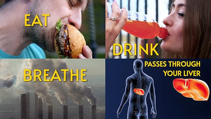 LIVERITE Liver Aid with Milk Thistle 60 Capsules, Liver Support, Liver Cleanse, Liver Care, Liver Function, Energy