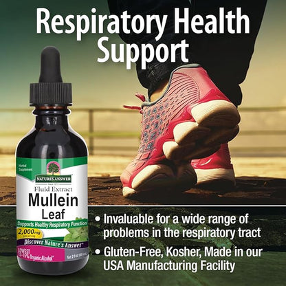 Natures Answer Mullein Leaf Low Alcohol 2000mg 2 oz Extract | Supports Respiratory Wellness | Gluten-Free, Vegan, Non-GMO, No Artificial Flavors or Preservatives | Single Count