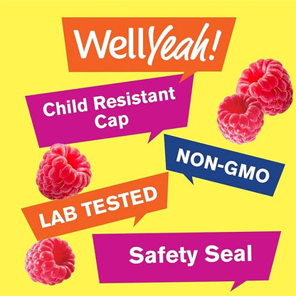Calcium, Magnesium, Zinc + Vitamin D3 Gummies by WellYeah | Bone, Muscle and Nerve Health Support, Immune Support | for Men and Women | Gluten Free, Non GMO | Raspberry Flavor | 90 Count