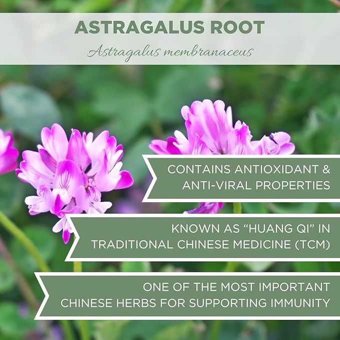 Organic Astragalus Root 4 oz. (113g), USDA Certified Organic Astragalus Membranaceus Dried Root Tea, Huang Qi, Cut & Sifted