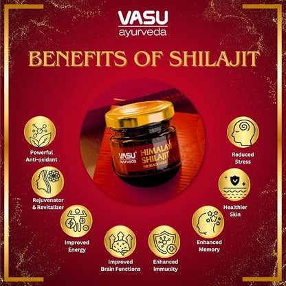 VASU Ayurveda Himalayan Shilajit Resin 400mg – Lab Tested Natural Energy Booster with Fulvic Acid & 85+ Trace Minerals – Pure Shilajit for Men & Women – 100 Days Supply for Strength & Stamina (2-Pack)