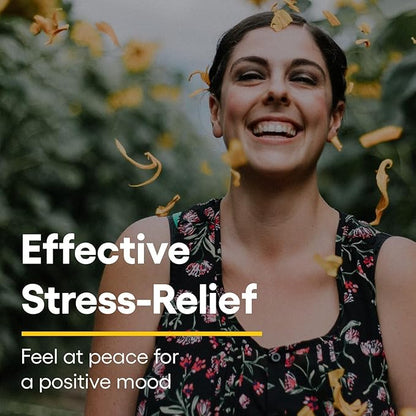 Stress-Relax Chewable Suntheanine L-Theanine 100 mg by Natural Factors, Non-Drowsy Stress Support for Mental Calmness and Relaxation, Tropical Fruit Flavor, 60 Tablets