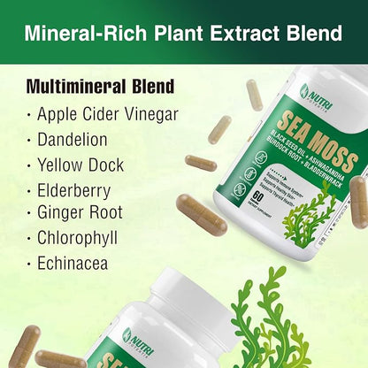 Sea Moss Black Seed Oil Ashwagandha Ginger Supplement - Irish Sea Moss with Turmeric, Bladderwrack & Burdock - 16 in 1 Immune, Joint and Gut Support - 60 Capsules