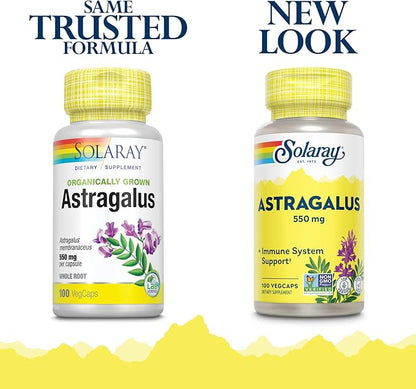 SOLARAY Astragalus Root 550mg | Healthy Immune Function & Stress Support | Adaptogen Herb | Non-GMO & Vegan | 100 VegCaps
