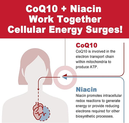 Sugar Free CoQ10 Filled Gummies 250MG, Coenzyme Q10 w/Magnesium Glycinate, Niacin No-Flush Vitamin B3, E & Folic Acid, High Absorption CoQ10 for Cellular Energy & Antioxidant, 120Cts