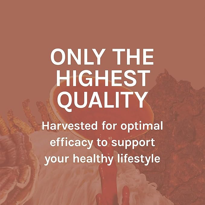 Host Defense MycoBotanicals Liver* Capsules - Liver Health Supplement with Milk Thistle & Turmeric Root - Mushroom Supplement with Turkey Tail, Reishi & Chaga - 60 Capsules (30 Servings)*