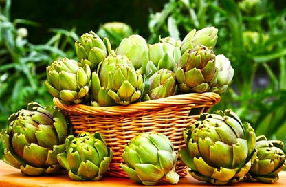 Artichoke 20 Seeds for Planting Non-GMO