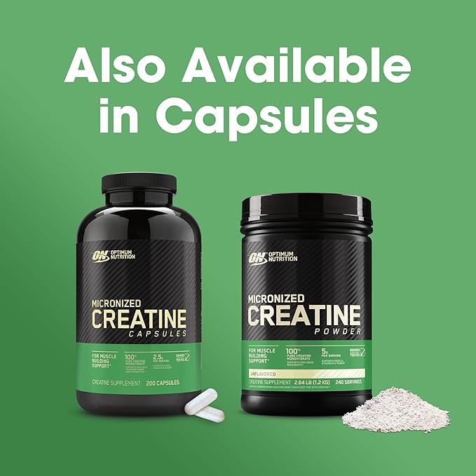 Optimum Nutrition Micronized Creatine Monohydrate Powder, Unflavored, 60 Servings, 300 Grams (Packaging May Vary)