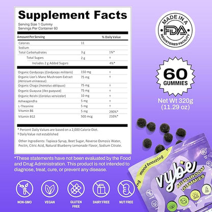 Vybe Mushroom Gummies for Focus and Energy - All-In-One Daily Mushroom Supplement - 8-in-1 Adaptogen Supplement Blend with Lion’s Mane, Cordyceps, Reishi, Chaga, Ashwagandha (Blueberry, 60-Count)