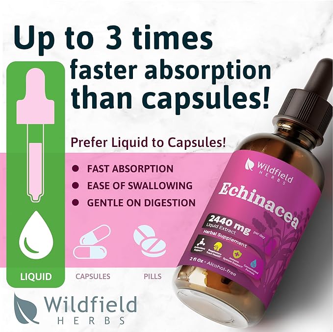 4 oz Liquid Echinacea Extract - Echinacea Root Drops Tincture 2440mg (Echinacea purpurea) Herbal Supplement Absorbs Better Than Capsules, 2 Month Supply, 84 Servings, Alcohol-Free - 2 Oz, Pack of 2