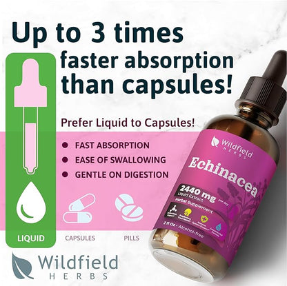 4 oz Liquid Echinacea Extract - Echinacea Root Drops Tincture 2440mg (Echinacea purpurea) Herbal Supplement Absorbs Better Than Capsules, 2 Month Supply, 84 Servings, Alcohol-Free - 2 Oz, Pack of 2