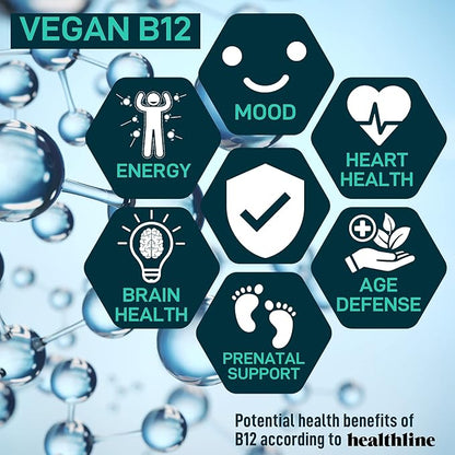 Vegan Probiotic Plus B12-22 Billion CFU Synbiotics Prebiotics and Probiotics for Digestive Health, IBS, Mood Support - B12 with FOS Pre Pro Post Biotics for Women & Men - 60 Gluten-Free Capsules