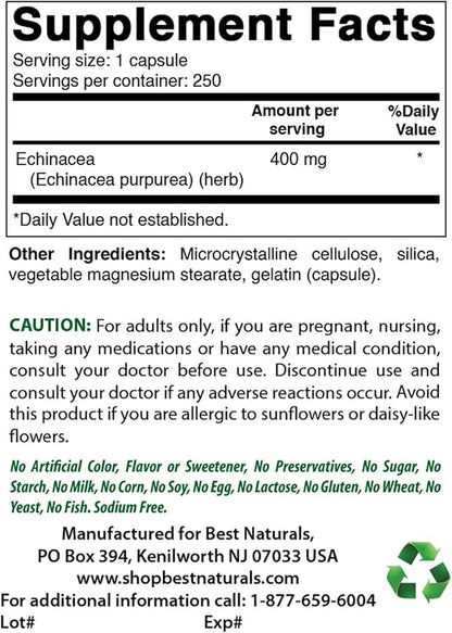Best Naturals Echinacea 400 mg 250 Capsules (Pack of 2)