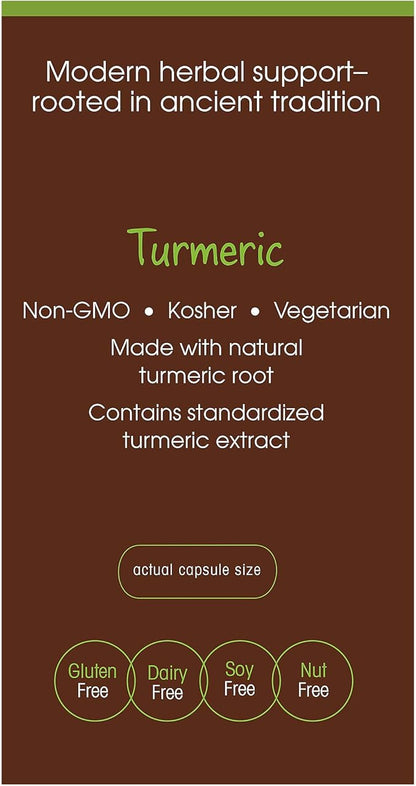 plnt Turmeric - with Natural, Non-GMO Indian Turmeric Root, Supports Joint Mobility, Cellular Health Support & Provides Antioxidant Benefits (120 Vegetarian Capsules)
