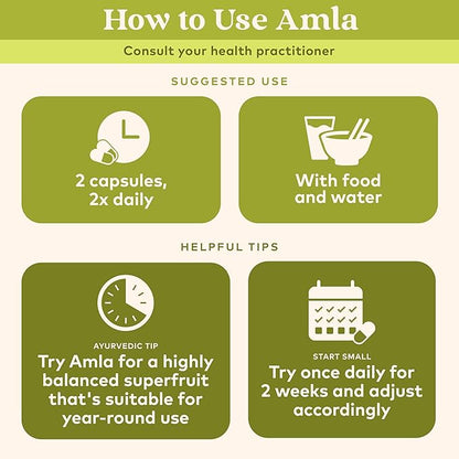 ORGANIC INDIA Amla Capsules Organic - Indian Gooseberry Herbal Vitamin Supplement, Amla Supplement, Immune Support, Vegan, Gluten-Free, Ayurvedic, Antioxidant, Non-GMO - 60 Capsules