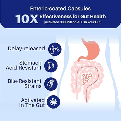Akkermansia Probiotic, Boosts GLP-1, 300M AFU, Inulin Prebiotic Fiber - Gut Health Supplements for Men & Women (60 Capsules)