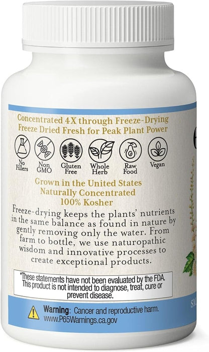 ECLECTIC INSTITUTE Raw Fresh Freeze-Dried Non-GMO Black Cohosh | 100 CT (370 mg)