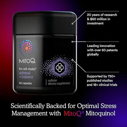 MitoQ +Balance | Sensoril Ashwagandha, Rhodiola & Maritime | Support Balanced Cortisol Levels, Stress Management, Restorative Sleep & Cell Health (60 Capsules)