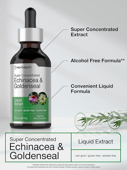 Horbäach Echinacea Goldenseal Liquid Extract | 2 fl oz | Alcohol Free Tincture Drops | Vegetarian, Non-GMO, Gluten Free