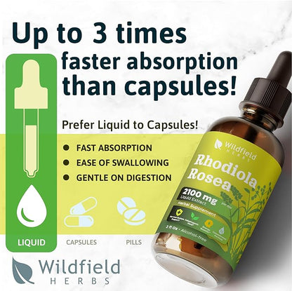 4 oz Rhodiola Rosea Supplement Rhodiola Rosea Root Tincture Drops 2100mg (Rhodiola rosea L.) Rhodiola Extract Absorbs Better Than Capsules, 2 Month Supply, 84 Servings, Alcohol-Free - 2 Oz, Pack of 2