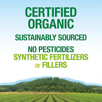 Whole Earth & Sea from Natural Factors, Organic Fermented Greens, Vegan Whole Food Supplement, Chocolate, 15.5 Oz