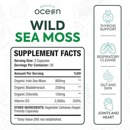 Wild Sea Moss Capsules - 100% Organic Irish Sea Moss with Organic Chlorella, Bladderwrack and Vitamin D for Energy, Lung Health and Thyroid Support for Women and Men - 60 Capsules