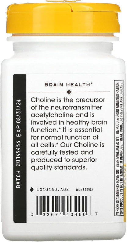 NATURES WAY 500Mg 100 Tb Choline, 100 CT