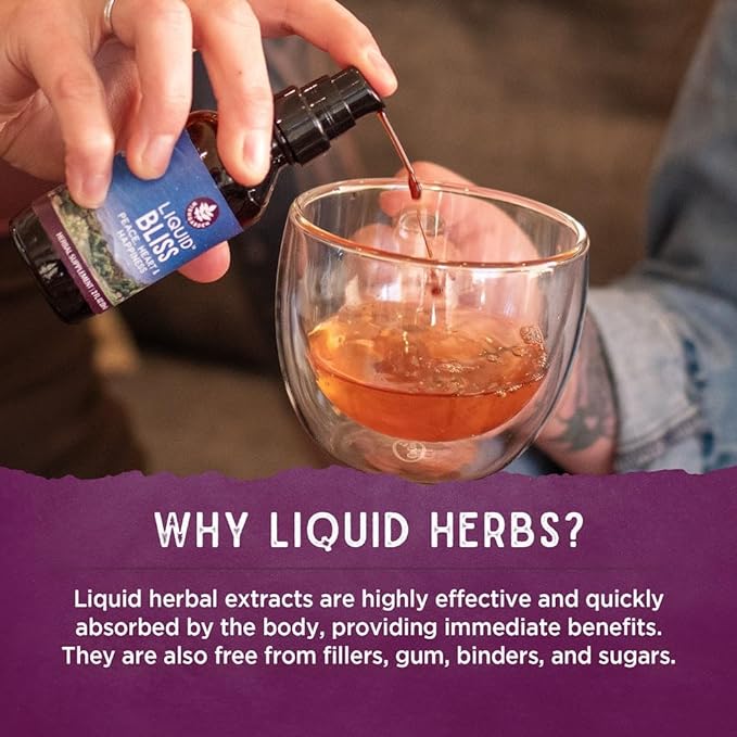 WishGarden Herbs Daily Immune Builder with Black Elderberry & Astragalus - Daily Immune Support Formula for Adults, Herbal Immune System Booster with Elderberries, 2oz