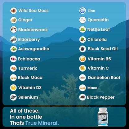 Sea Moss Maca Black Seed Oil Ashwagandha Bladderwrack Turmeric - Manuka Honey, Elderberry, Vitamin C & D3, Dandelion & Black Pepper - Non-GMO - Vegan - Made in USA - 60ct
