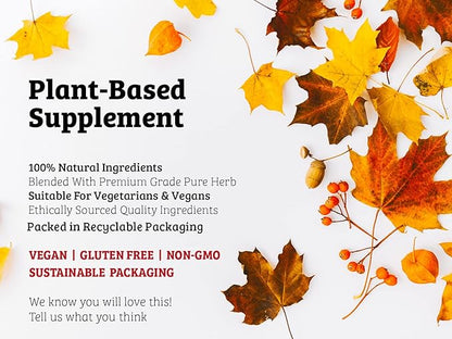 DR WAKDE'S Arjuna Bark Powder (Terminalia arjuna) - 100g (3.5oz) | Pure, Raw & Dried Powder | Natural Aroma and Freshness | Fine Powder | Vegan | Premium Grade | Nothing Added, Nothing Removed